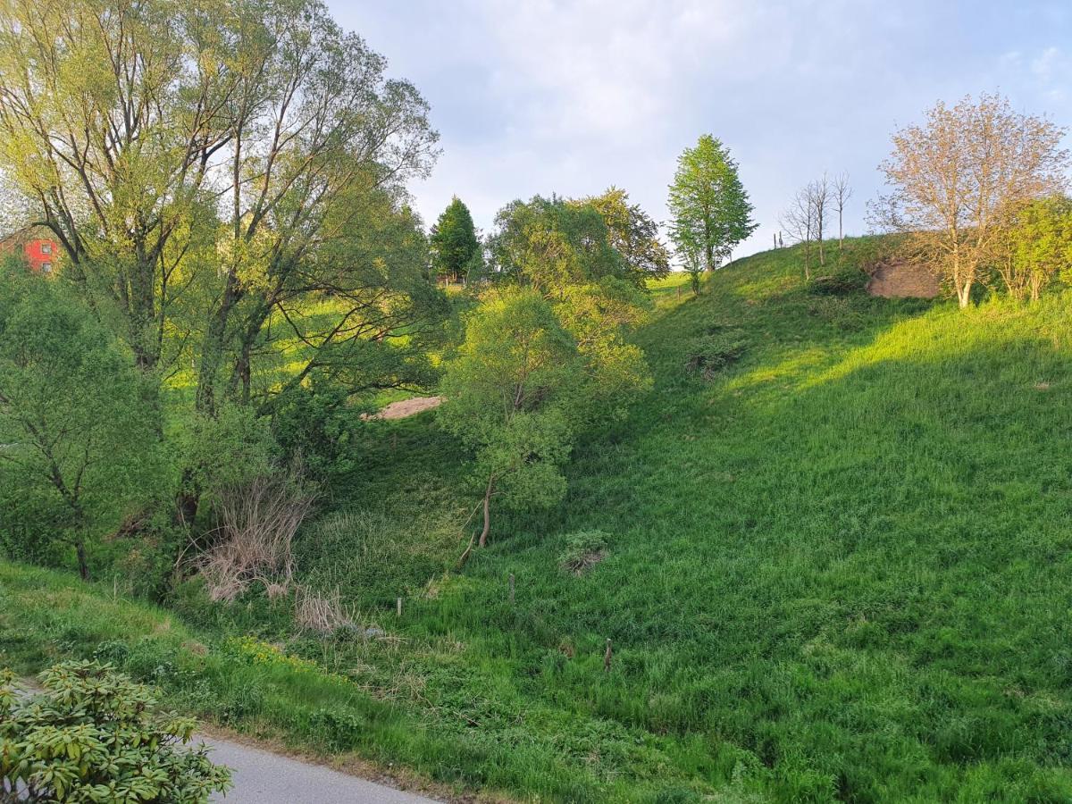 Fewo-Hierundjetzt Lichtenhain Bei Sebnitz Am Malerweg エクステリア 写真