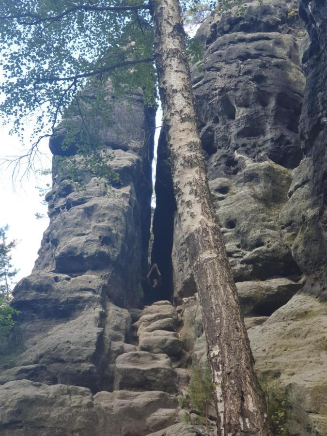 Fewo-Hierundjetzt Lichtenhain Bei Sebnitz Am Malerweg エクステリア 写真